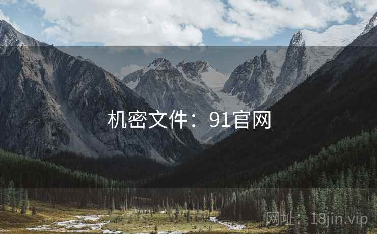 机密文件：91官网