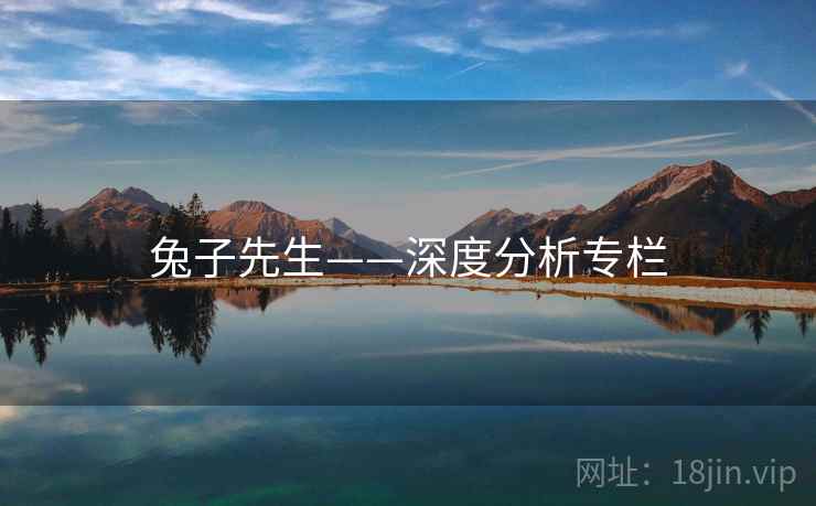 兔子先生——深度分析专栏