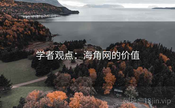 学者观点：海角网的价值