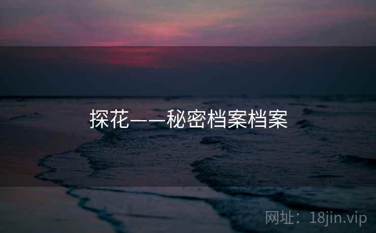 探花——秘密档案档案