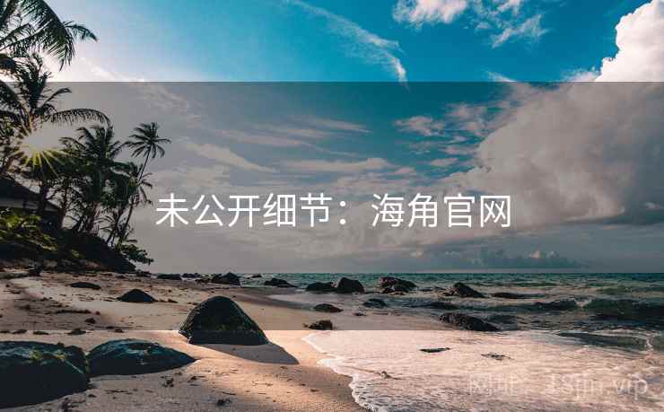 未公开细节：海角官网